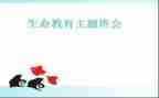 班主会工作总结优秀6篇