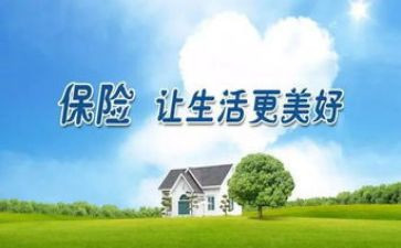 保险所述职报告优质6篇