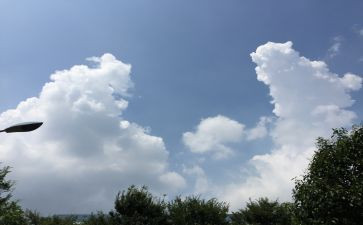 2024年谈家乡谈变化演讲稿7篇