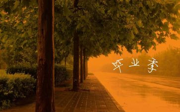 毕业班的工作总结优秀7篇