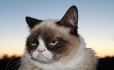 不开心的心得6篇