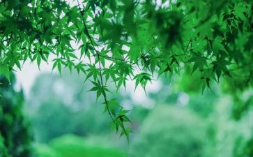 不能等待的作文5篇
