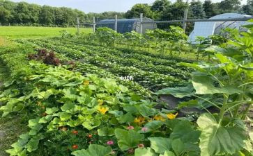 湘菜餐厅工作计划范文7篇