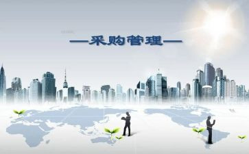 采购办个人总结7篇