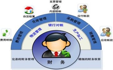 学财务的个人总结模板6篇
