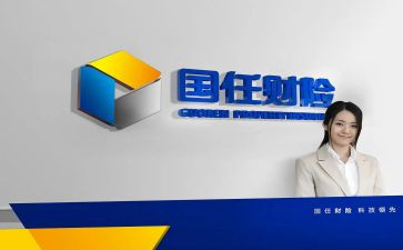 2024年财险公司工作总结8篇
