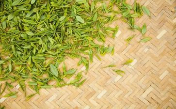 喝奶茶的人调查报告5篇