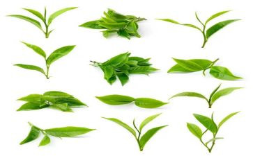 奶茶店搞活动方案7篇