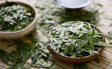 我与茶的故事作文优秀5篇