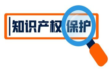 案说知识产权心得体会5篇