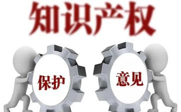 知识产权培训心得8篇