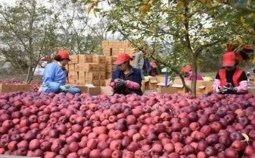 2024年房产销售的工作总结精选8篇