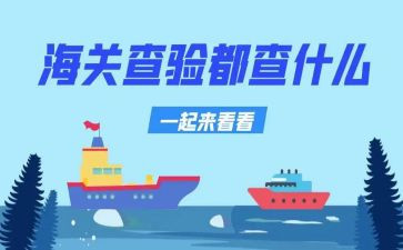 2024入托查验接种工作总结5篇