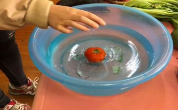 水的沉浮大班科学教案7篇