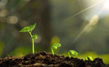 写成长类的作文600字优质6篇