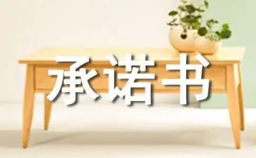 承诺合同模板7篇