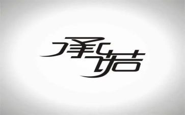 假合同承诺书模板5篇