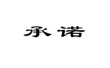 假合同承诺书推荐5篇