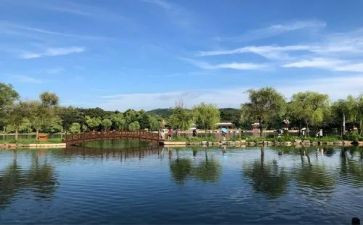 小池塘作文300字5篇