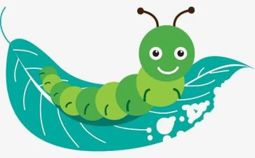 瓢虫找家教案5篇
