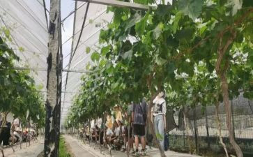 川农自我鉴定参考6篇