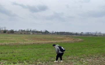 川农自我鉴定推荐5篇