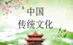 春节的传统文化作文模板8篇
