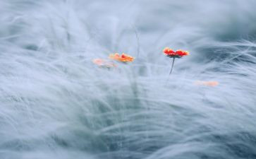 触动心灵的话题作文5篇