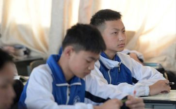 初二我作文800字6篇