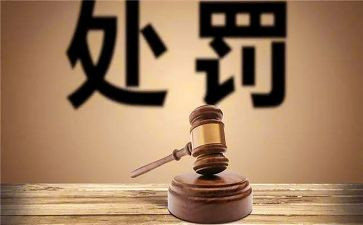 受处分后思想汇报6篇