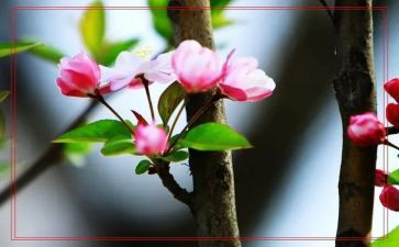 写春节的300的作文7篇