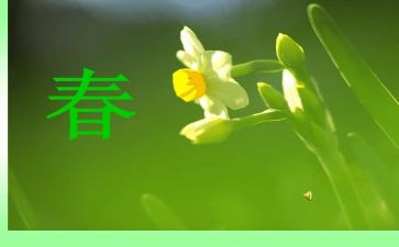 过春节的作文400字2023参考5篇