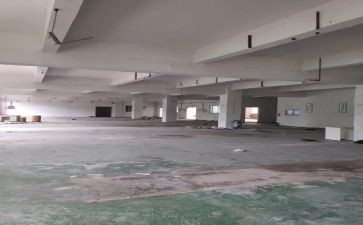 仓库年度工作总结报告6篇