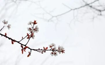 《匆匆》的读后感5篇