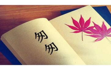?w匆匆读后感500字6篇