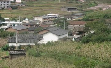 村干部工作总结范文7篇