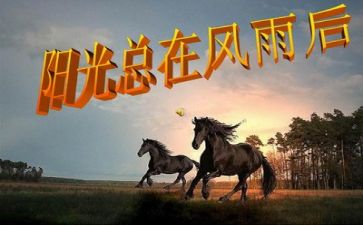 笑对挫折作文800字7篇