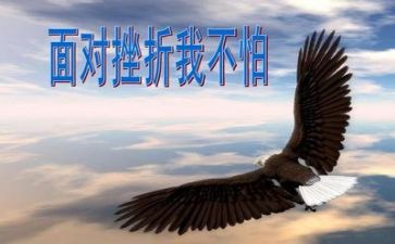 写挫折的作文800字8篇