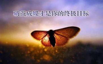 挫折为题的作文800字5篇