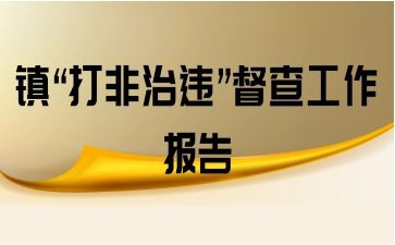 打非治违的工作总结7篇