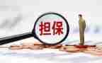 县担保公司工作总结模板6篇