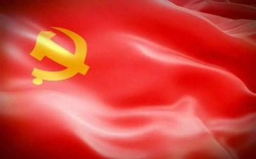 党总支2024年工作总结8篇