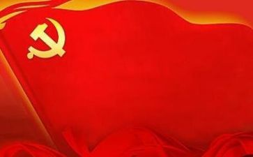 党类工作总结7篇