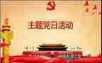 党日活动总结500字5篇
