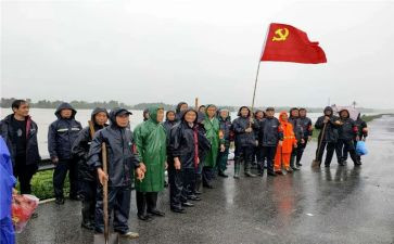 党员述职述报告最新7篇