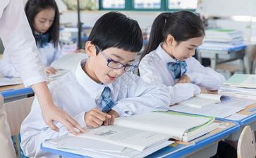 训导师工作计划8篇
