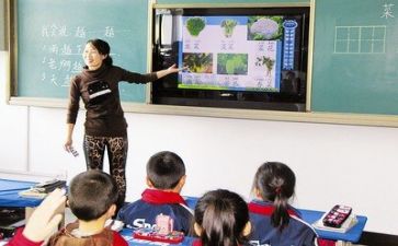 训导师工作总结最新8篇