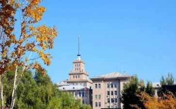 大学活动心得体会推荐8篇