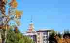 读大学感悟心得7篇