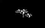 等待成功的作文7篇